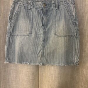 7 For All Mankind Blue and White Mini Skirt